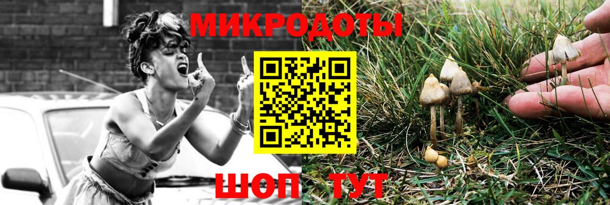 Галлюциногенные грибы MAGIC MUSHROOMS Кудрово